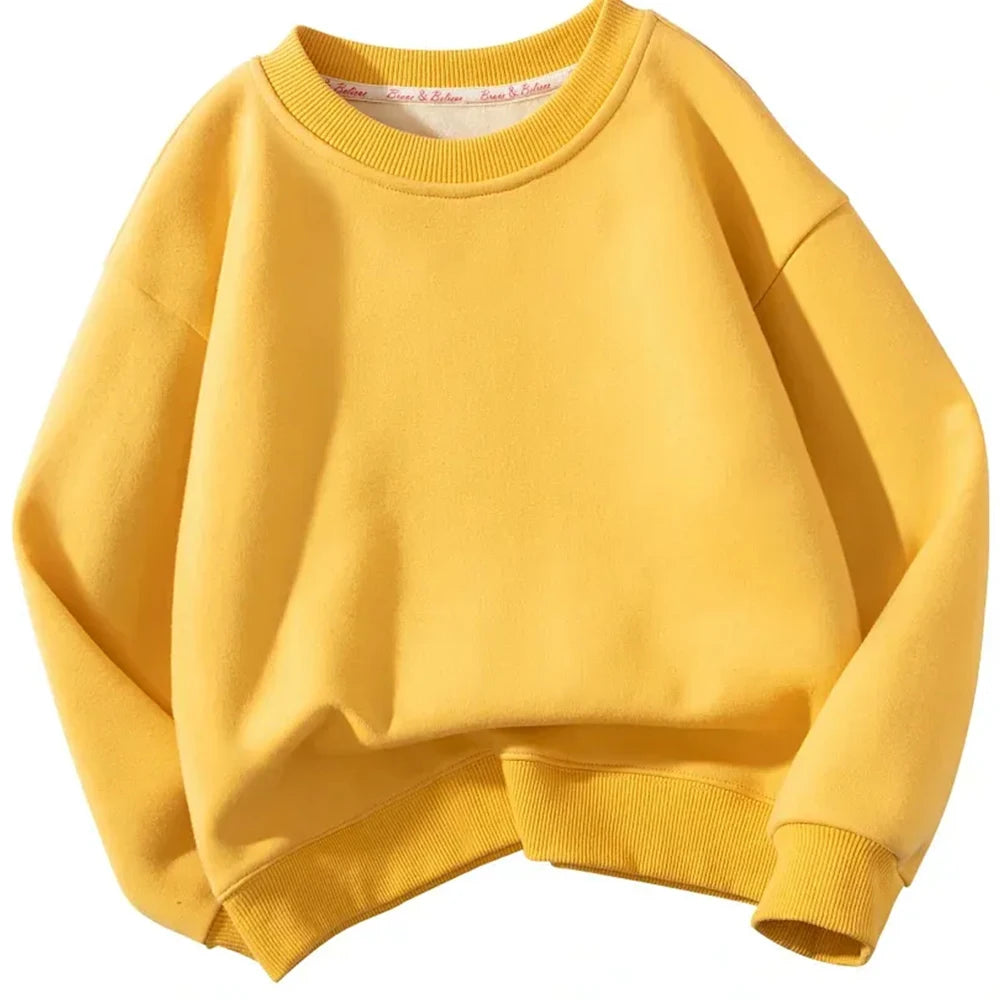 Hot Sale Wholesale 300g 100% Cotton Puff Silk Screen Printing Terry Crewneck Blank Plain Custom Hoodies Women Mens Sweatshirt